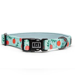 2 /$15  New Tella & Stella Designer Dog Collar  Peach 🍑  Size Large